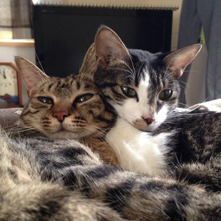 D03a34ee 7f9b 47e5 a34a d548ac9359de 1508813915704