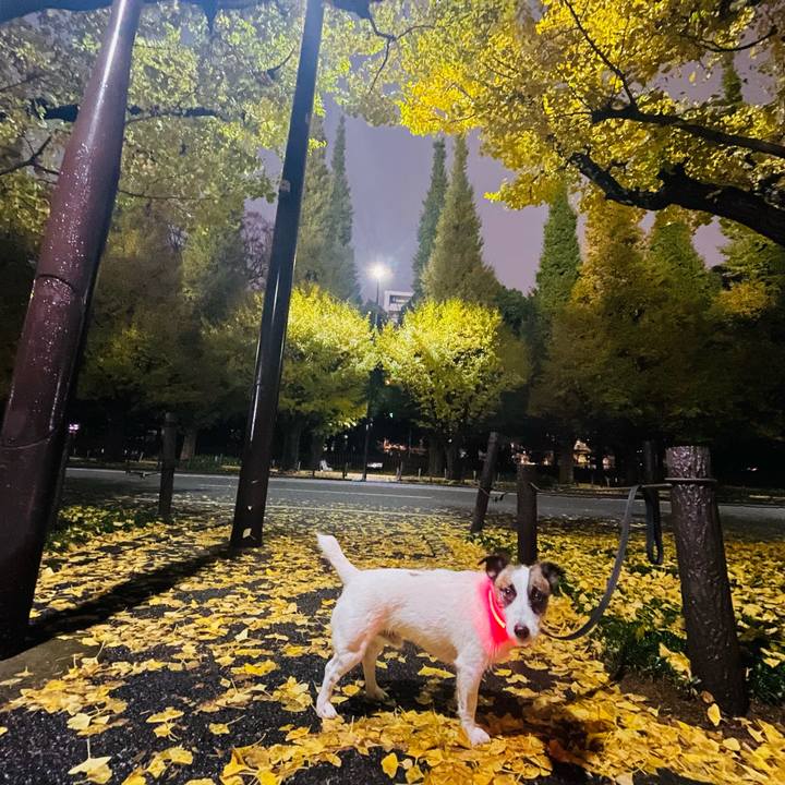 D03a3974 4bf4 448c b6a4 fc69eead6790 1636448749418