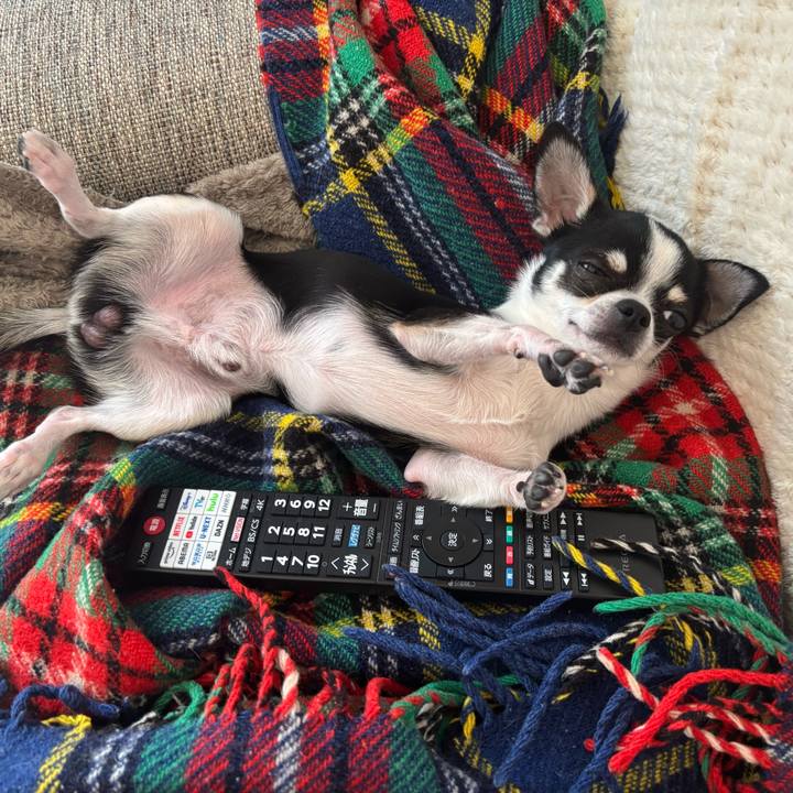 D03a8516 f92b 4678 aa50 0b817397a949 1768623729290