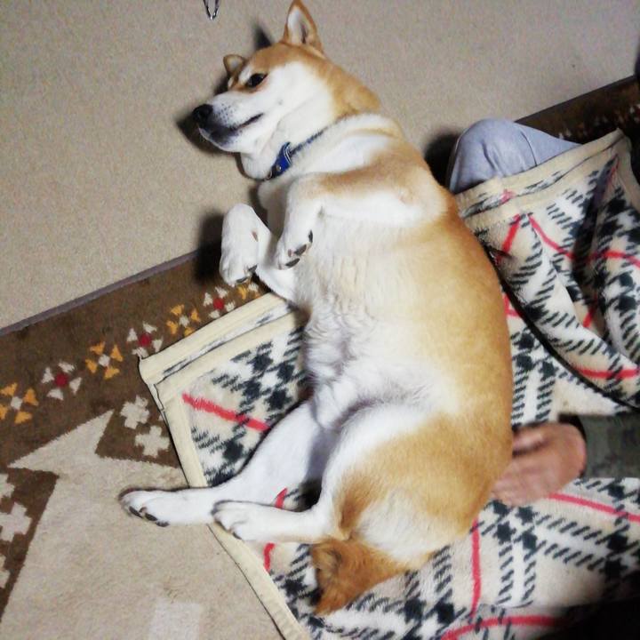 D03a8ad8 be18 4460 b3bb 81a5a3b14c09 1588806366004