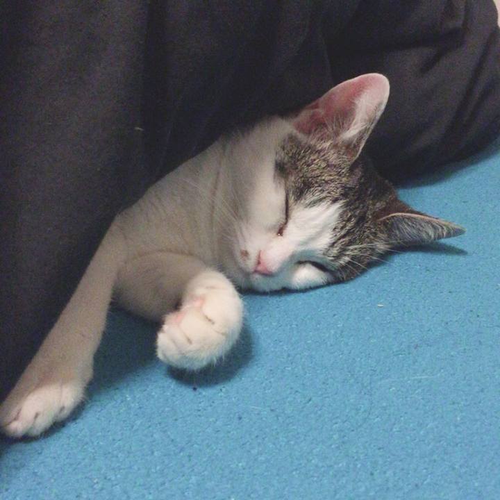 D03aae3c 9481 4f2c bde2 b37fded68f2f 1543845030834