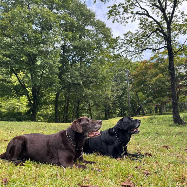 D03ab216 48ba 413e 87a4 a627d010b1bf 1758027086476