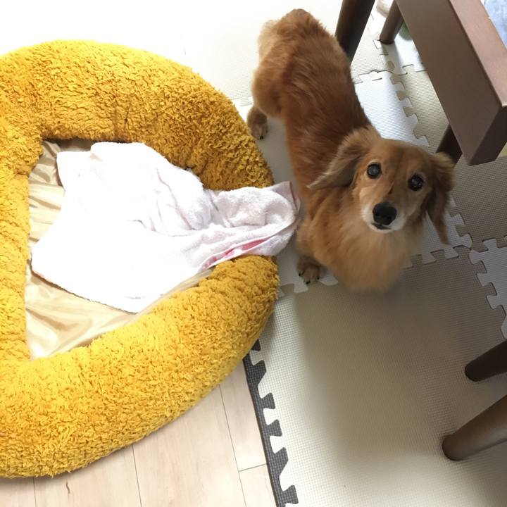 D03b014f 9699 4758 b289 a8247990942a 1634477083930