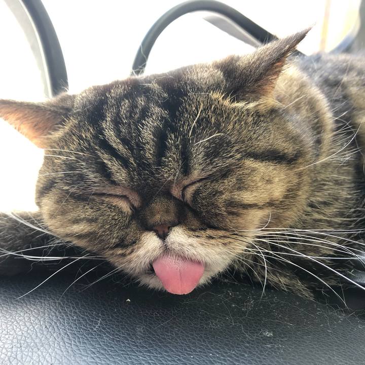 D03b4b3f 9c27 4b32 978b b5b7f56a68da 1581139384354