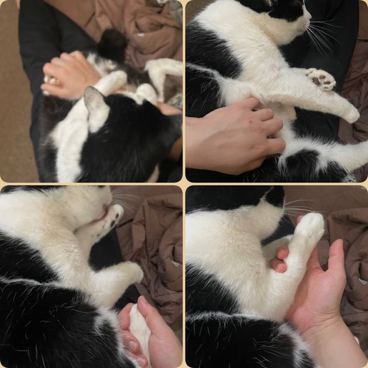 D03b56f2 1967 43d2 92d4 08ffccd87052 1714177210433