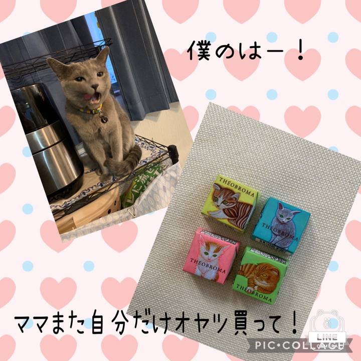 D03b6f14 78f3 487a b3c4 8170e91a6425 1644196243594