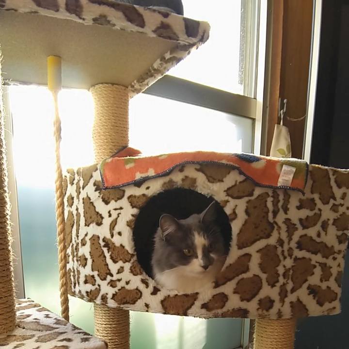 D03b8255 da67 4cda 88b4 fd82e2e4163e 1581232767448