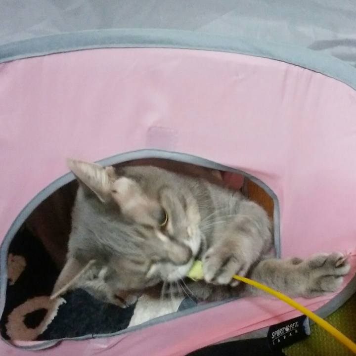 D03b9513 5aa9 4ca4 8a98 73ae248cdd73 1572541190797