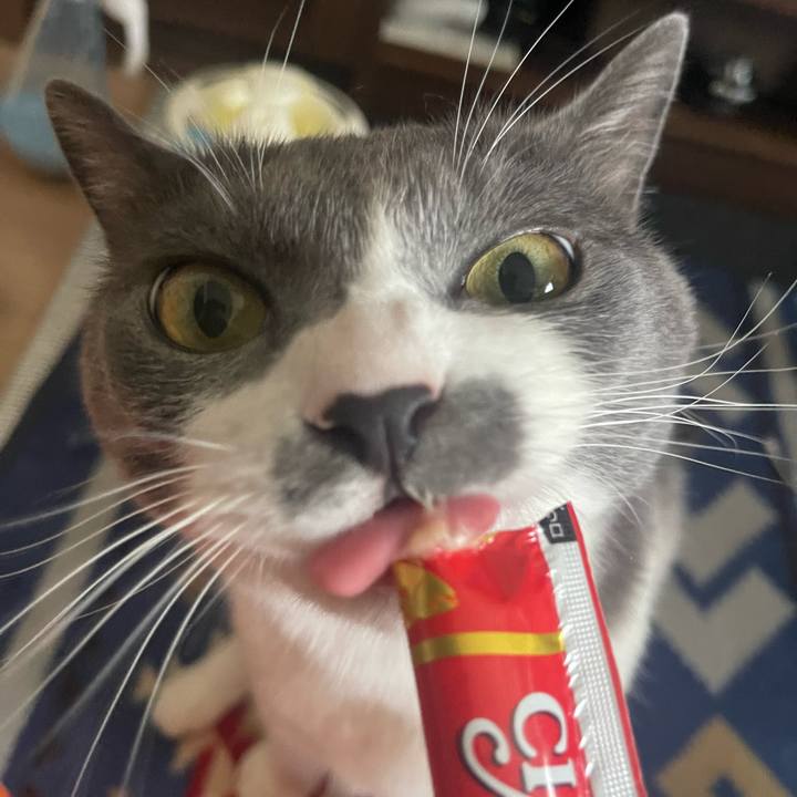 D03ba068 d1b7 4201 904e 45af94a4d021 1690099514423