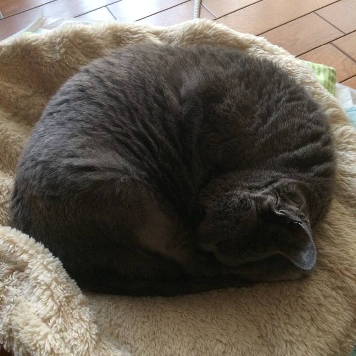 D03ba909 5828 4bdf 876a e7e735e49d2f 1519305703689