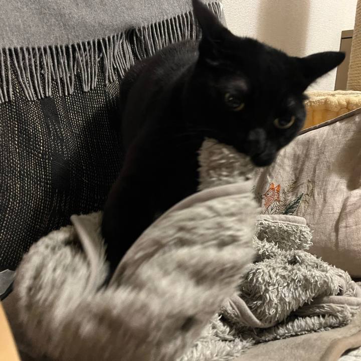 D03bbe7e 9d64 4e14 8831 57656063f412 1769003922765