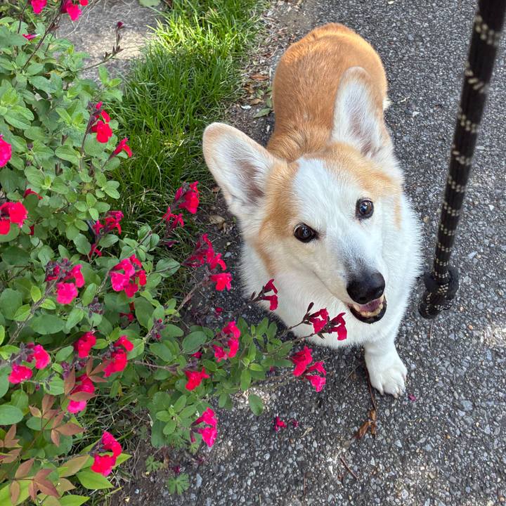 D03bd7a3 e516 45f2 91e1 2e7d52b48543 1776645093237