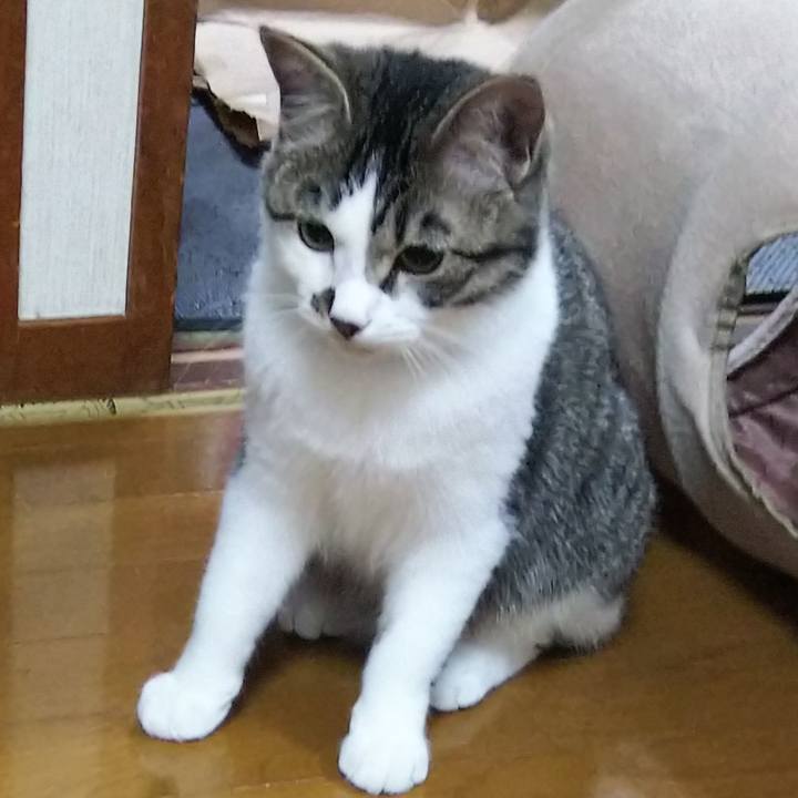 D03c3e53 ed6f 43b9 bc7f ef202897e7af 1616411599944