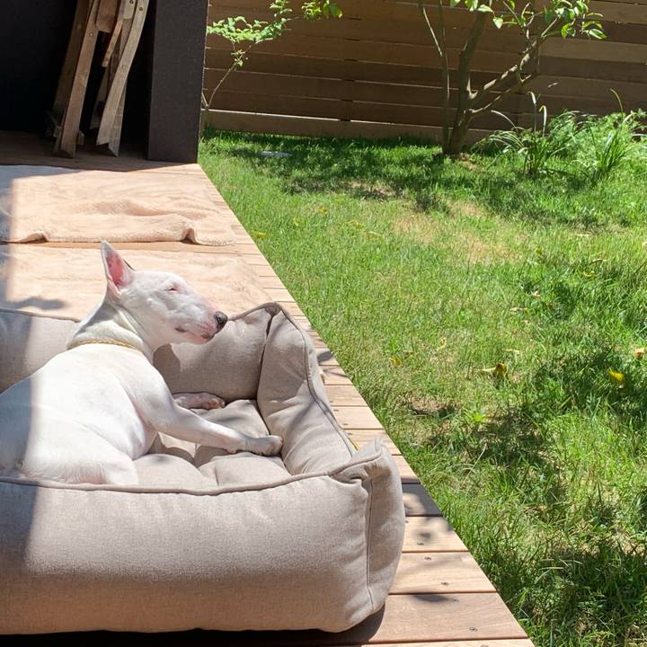 D03c4fb8 dd70 4fe5 8617 2f18b6c7d547 1588910459220