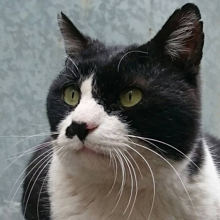 D03c6a0d fef5 4786 b809 969dd14647cc 1511581821520