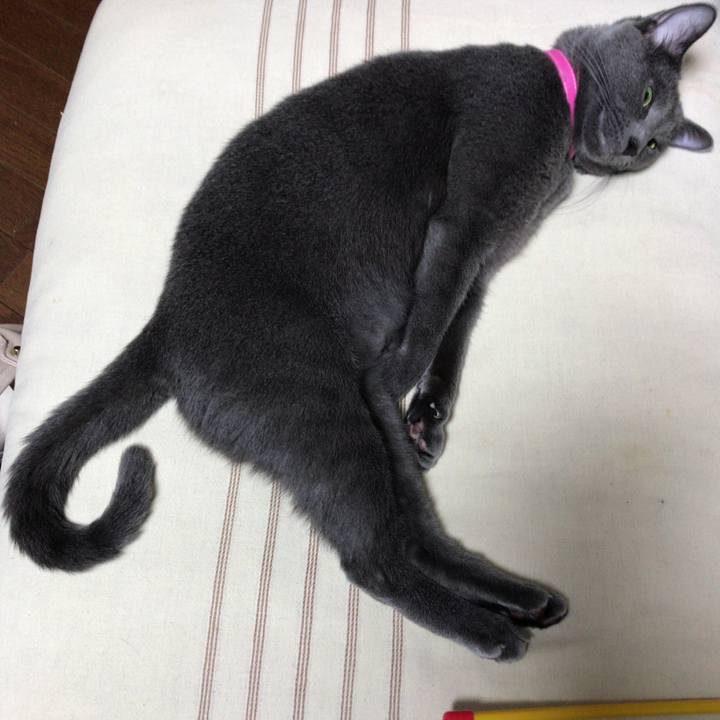 D03ca3a7 2e96 4790 99c5 9da9a18cf2bb 1533988326242