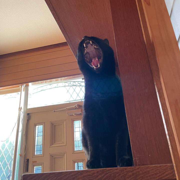 D03ca403 4fad 4676 838d 01a9a6081938 1606094780084