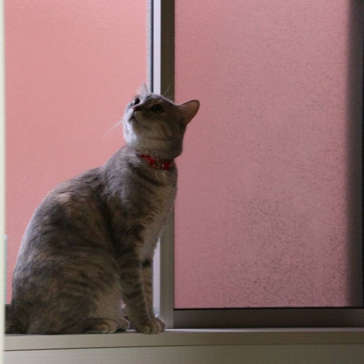 D03cbe77 af17 485a 870b 918d51df2d71 1512088868080