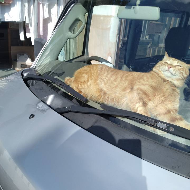 D03cc5c9 2d83 40ed b113 2706cbe2d387 1677910823050