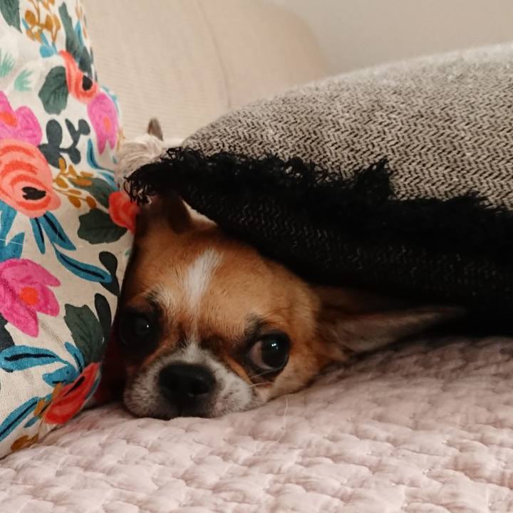 D03cdf48 5dcf 46d5 a5ac c4a11ed754f4 1569451874676