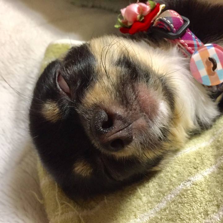 D03d428e 24da 40c1 a4bb 2061a9f53126 1524960473961