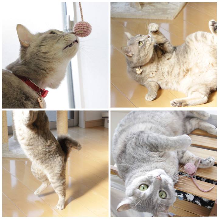 D03d4a29 0d68 4585 b11d 76df999a6085 1575963204544