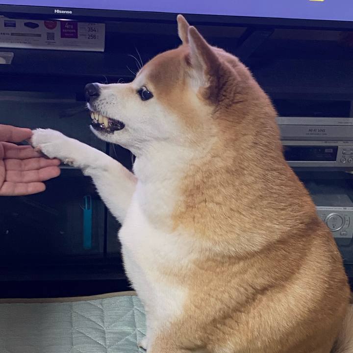 D03d4df6 4fd3 49f7 9a4e 7ea88068feac 1661522942779