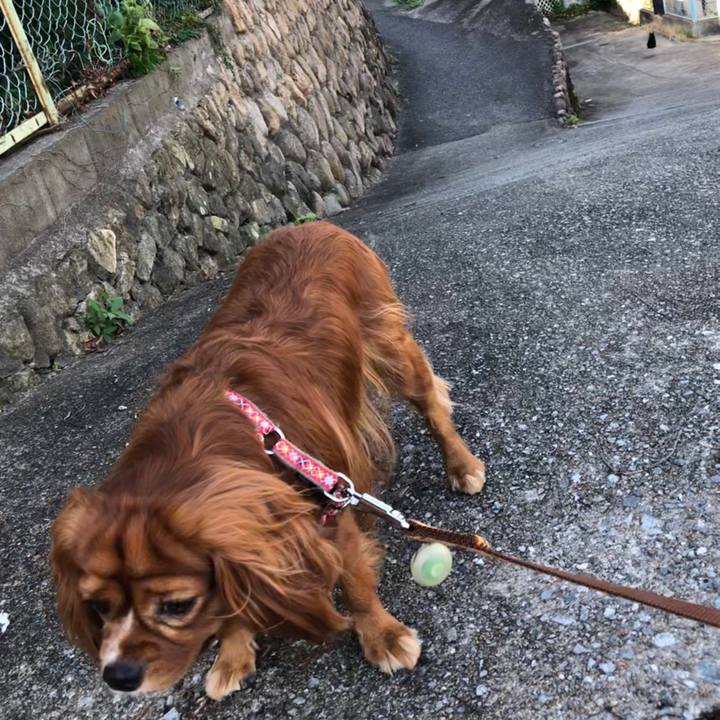 D03d6d82 83b0 40fc bfc9 9a0911941ec2 1600649146290