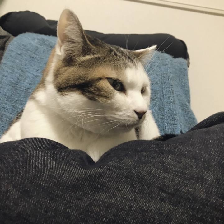 D03d8d25 dc28 463b b8d0 6a3fabb48784 1543717243291