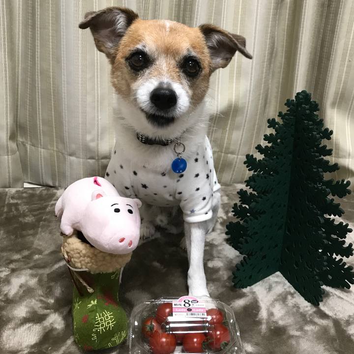 D03d9745 9ecd 4b37 a75c 1823cfeefc1b 1577228500957