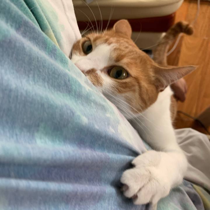 D03dbbbd 357b 445e 99c2 bf4a77677ab9 1650922877254