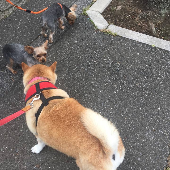 D03dd379 374c 4d48 b10f b881ca569160 1622346470006