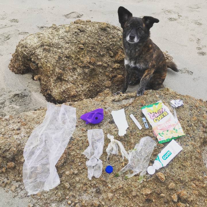 D03df5fa 0201 41b3 81b3 72e13d7f3496 1561030483911