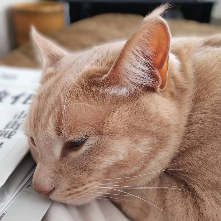 D03e6a3f 7937 4f19 add1 16fb7cd2ed4b 1645929322451