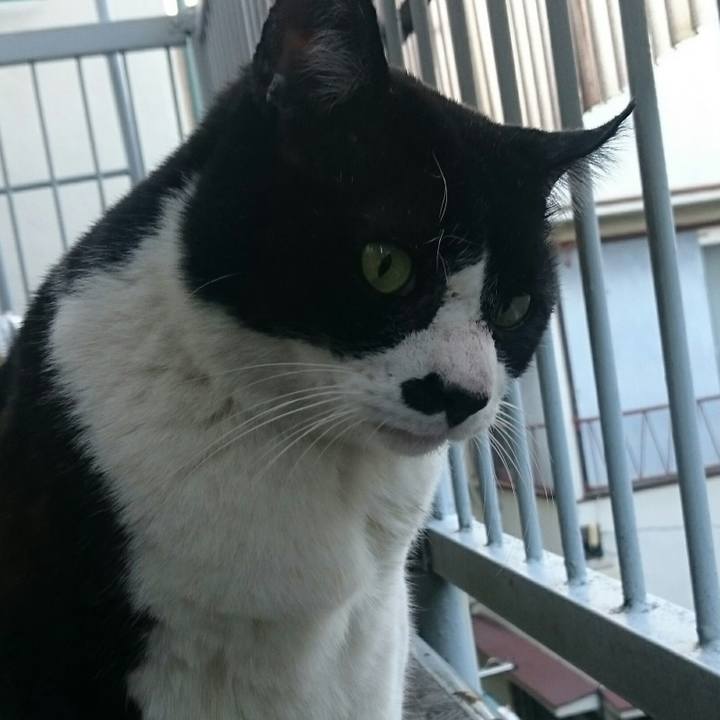 D03e7ef8 cd25 4bdf 8f68 48e715584356 1510469607488