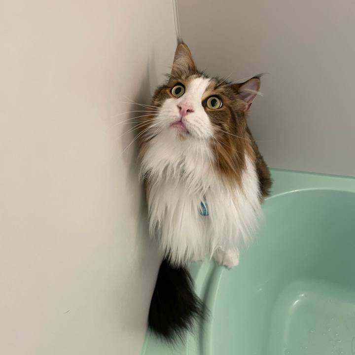 D03ee349 56c0 4e8d 91b5 a5576d495a08 1724961175658