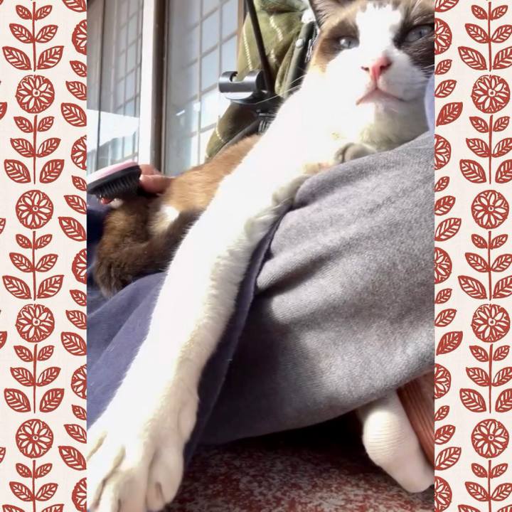 D03f2748 cdd0 4125 8091 88d3ebc25ae2 1736228469520