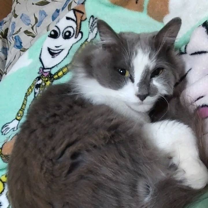 D03f7aa3 616d 4dc0 8ebe b78048d70cba 1704712321391