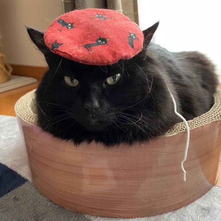 D03f811e 921b 4c3b 86b2 57fd0db2483e 1608649124693