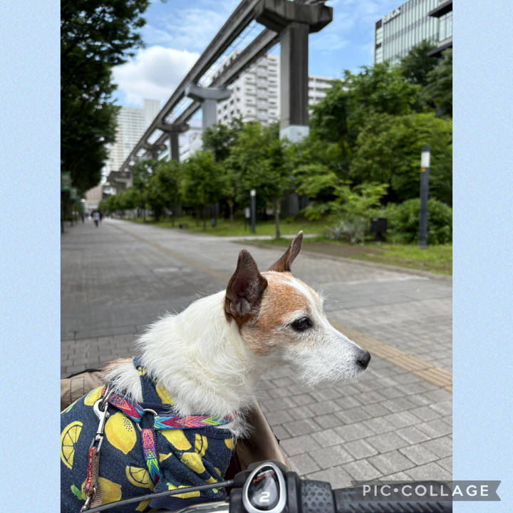 D03fbaa7 2f72 4cbd 9646 220a63ced76e 1748820591911