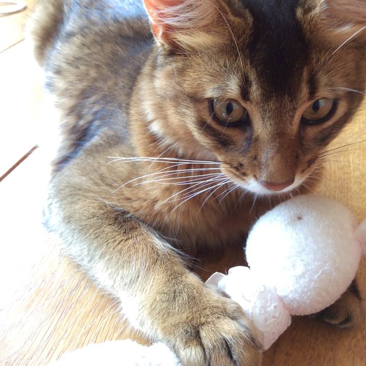 D03fc45a c64f 4ed3 a7cb 7cb96bb8722a 1564805540463