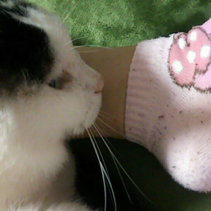 D03fd394 45b1 4bd2 8892 70d3a0ef40e6 1563444279775