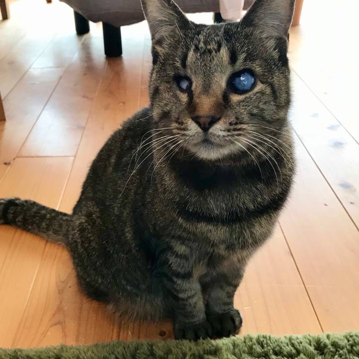 D03fd3c1 4203 494e 9609 b2774eca1dd5 1580628453469