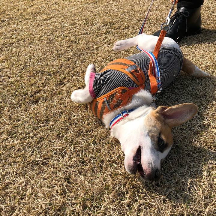 D03fe2ea 118e 4c64 9b52 04a1f84ea1af 1550994760562