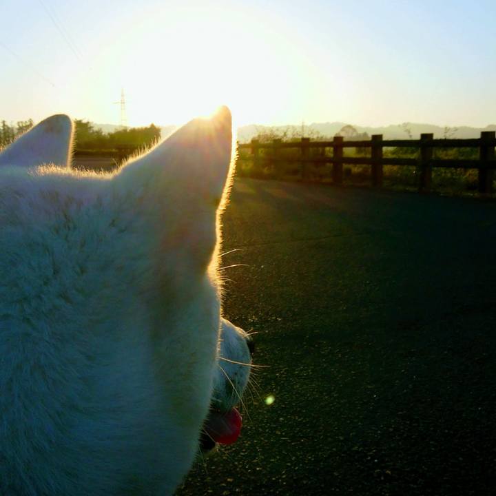 D040149f 9856 4f07 ad04 4f22af4386b1 1521636077506