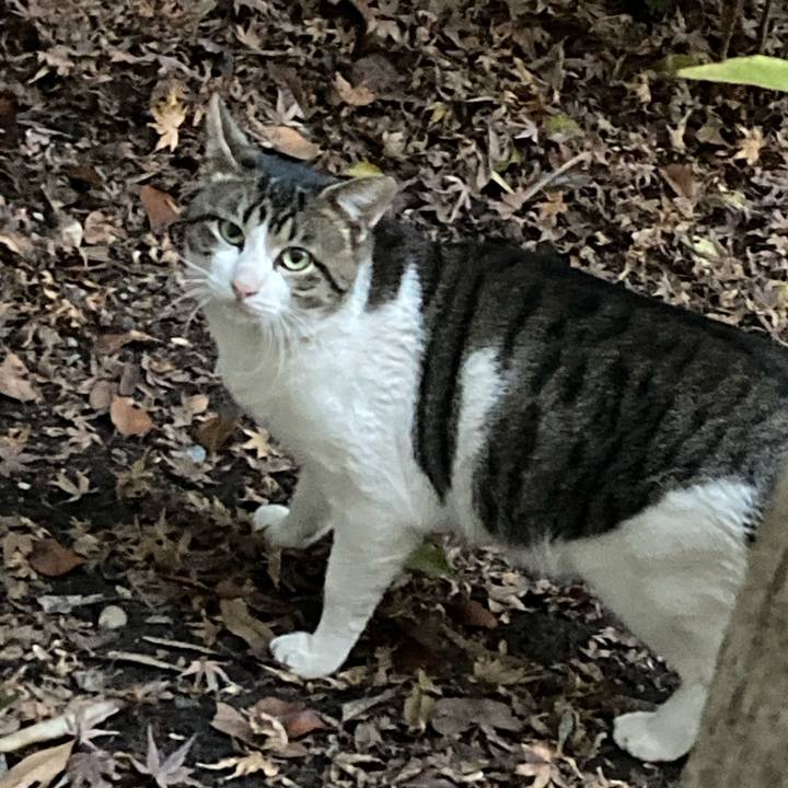 D04033a3 d733 45a0 ac51 6da9602e9144 1766890800855