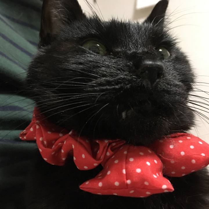 D0407a8e a01a 4ce3 a01e 4db5dc24d314 1574594184022