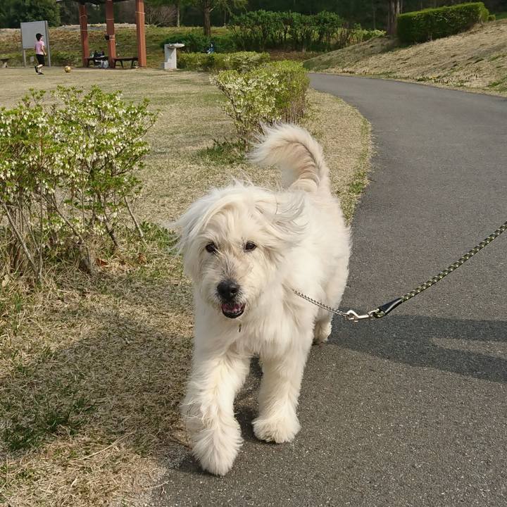 D040c226 a7e1 4169 85ba 78d2926c7a80 1588410170793