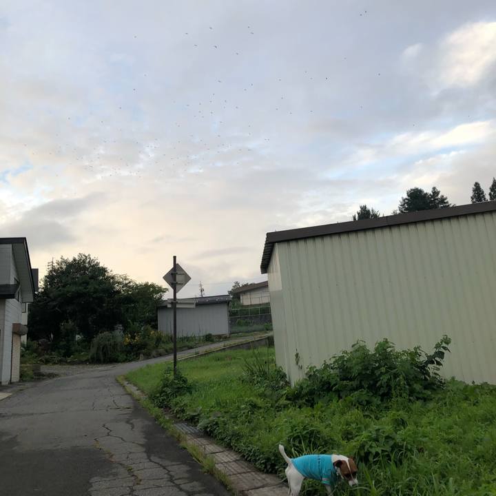 D040f6e9 7bc9 40a8 a839 bddbb19d1619 1566299295386