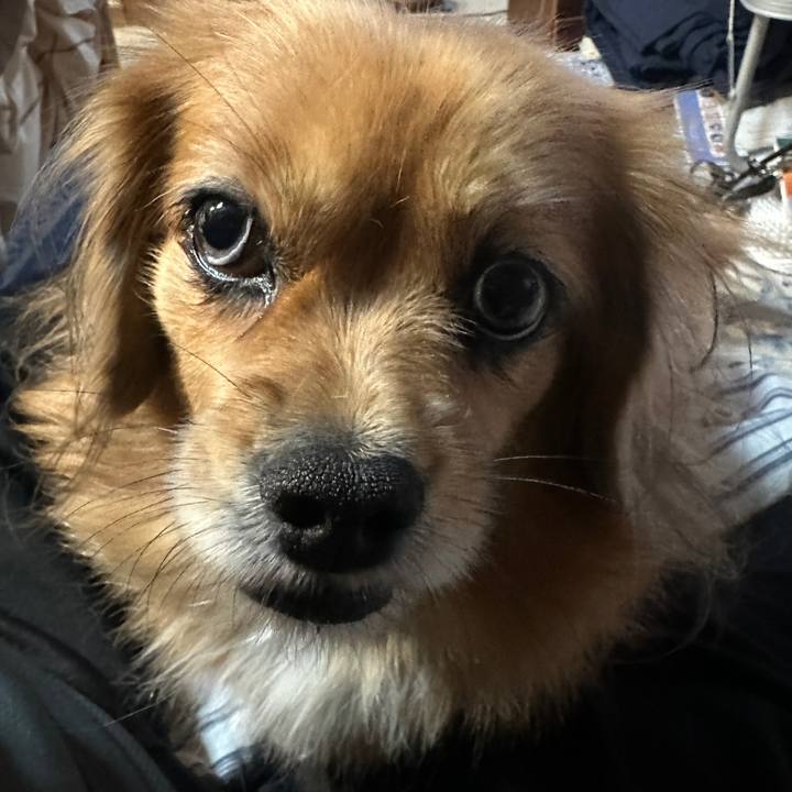 D0410744 95e5 47bf 9e39 e53547bd41d8 1698700559390